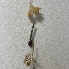フラワーガーランドの画像