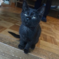 家族が決まりました✨️