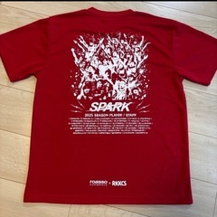 ロアッソ熊本　応援Tシャツ2025年　Lサイズの画像