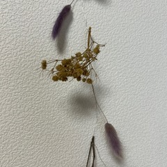 フラワーガーランド
の画像