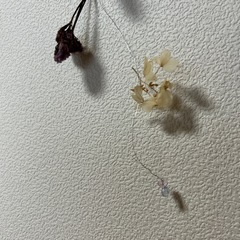 フラワーガーランド
の画像