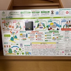 プーメリーの画像