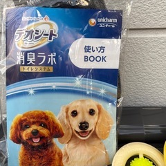 【取りに来れる方】犬用おもちゃ、トイレトレーの画像