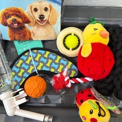【取りに来れる方】犬用おもちゃ、トイレトレーの画像
