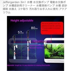 水槽お掃除の画像