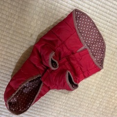 小型犬用の服の画像