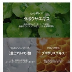 シートパックの画像