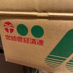 大きめきゅうり3本の画像