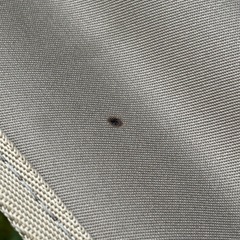 アウトドア チェアの画像