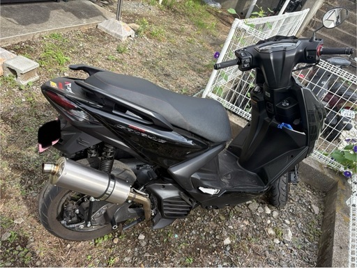 シグナス　グリファス