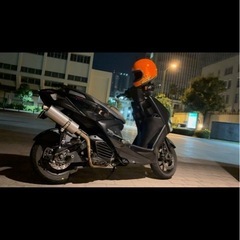 シグナス　グリファスの画像