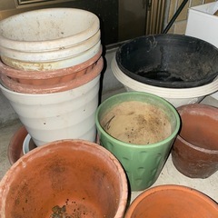 花壇蜂　植木鉢　レンガ　たくさんの画像