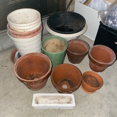 花壇蜂　植木鉢　レンガ　たくさんの画像
