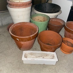 花壇蜂　植木鉢　レンガ　たくさんの画像