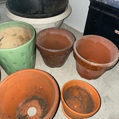 花壇蜂　植木鉢　レンガ　たくさんの画像