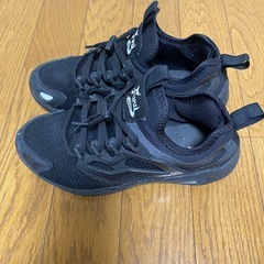 22.5㌢　スニーカー3足の画像
