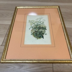 <入手困難>花の絵画の画像
