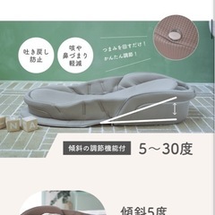 ベビーベッド　ベッドインベッド　持ち運び可能　美品の画像