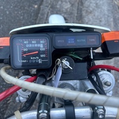 ホンダTLM220の画像