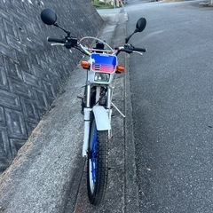ホンダTLM220の画像