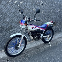 ホンダTLM220の画像