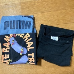 男の子　130 夏服の画像