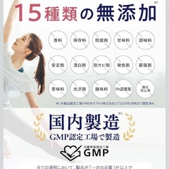 【新品･5袋】乳酸菌サプリメント ビフィラル ビフィズス菌 乳酸菌 酪酸菌の画像