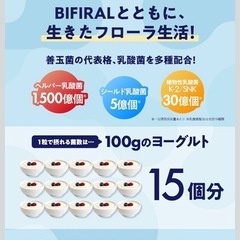【新品･5袋】乳酸菌サプリメント ビフィラル ビフィズス菌 乳酸菌 酪酸菌の画像