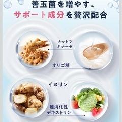 【新品･5袋】乳酸菌サプリメント ビフィラル ビフィズス菌 乳酸菌 酪酸菌の画像