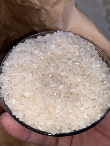 決まりました。きぬむすめ　30kg