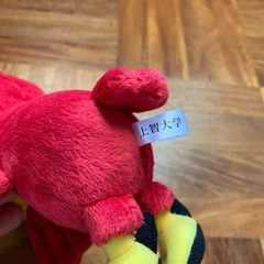 上智大学　マスコット　ソフィアンくん　ぬいぐるみの画像