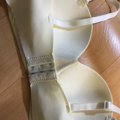 ブラジャーの画像