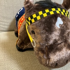 ブエナビスタ号‼️競馬ファンの方‼️の画像