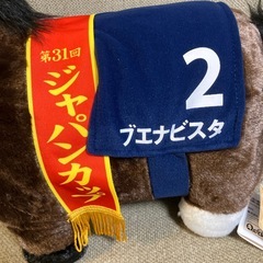 ブエナビスタ号‼️競馬ファンの方‼️の画像
