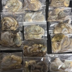 シガヤー【釣り餌】小の画像