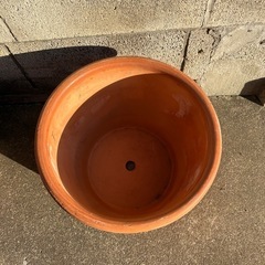 鉢　大サイズの画像