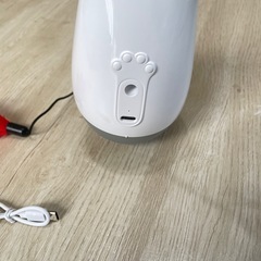 猫 自動おもちゃの画像