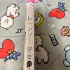 ハニーレモンソーダ29巻の画像