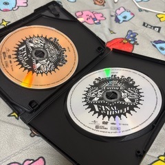 NovelbrightのコンサートDVDの画像