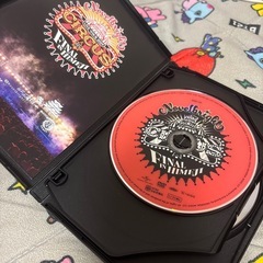 NovelbrightのコンサートDVDの画像