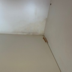 食器棚の画像
