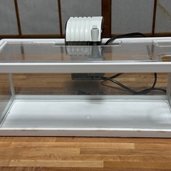 水槽の画像
