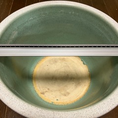 睡蓮鉢の画像