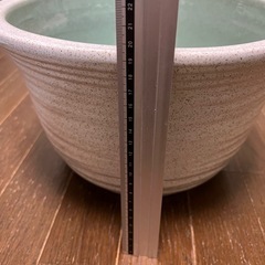 睡蓮鉢の画像