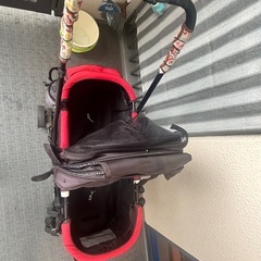 ペットパラダイスペットバギーカーペットカート１５ｋｇタイプの画像