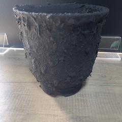 鉢　塊根植物　パキポ　アガベの画像