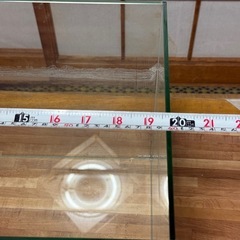水槽の画像