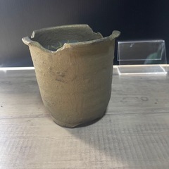鉢　塊根植物　アガベ　パキポディウムの画像