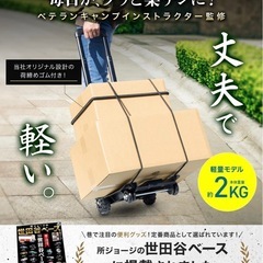 キャリーカート 折りたたみの画像