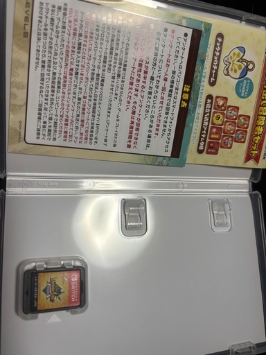 Switch　ファンタジーライフ